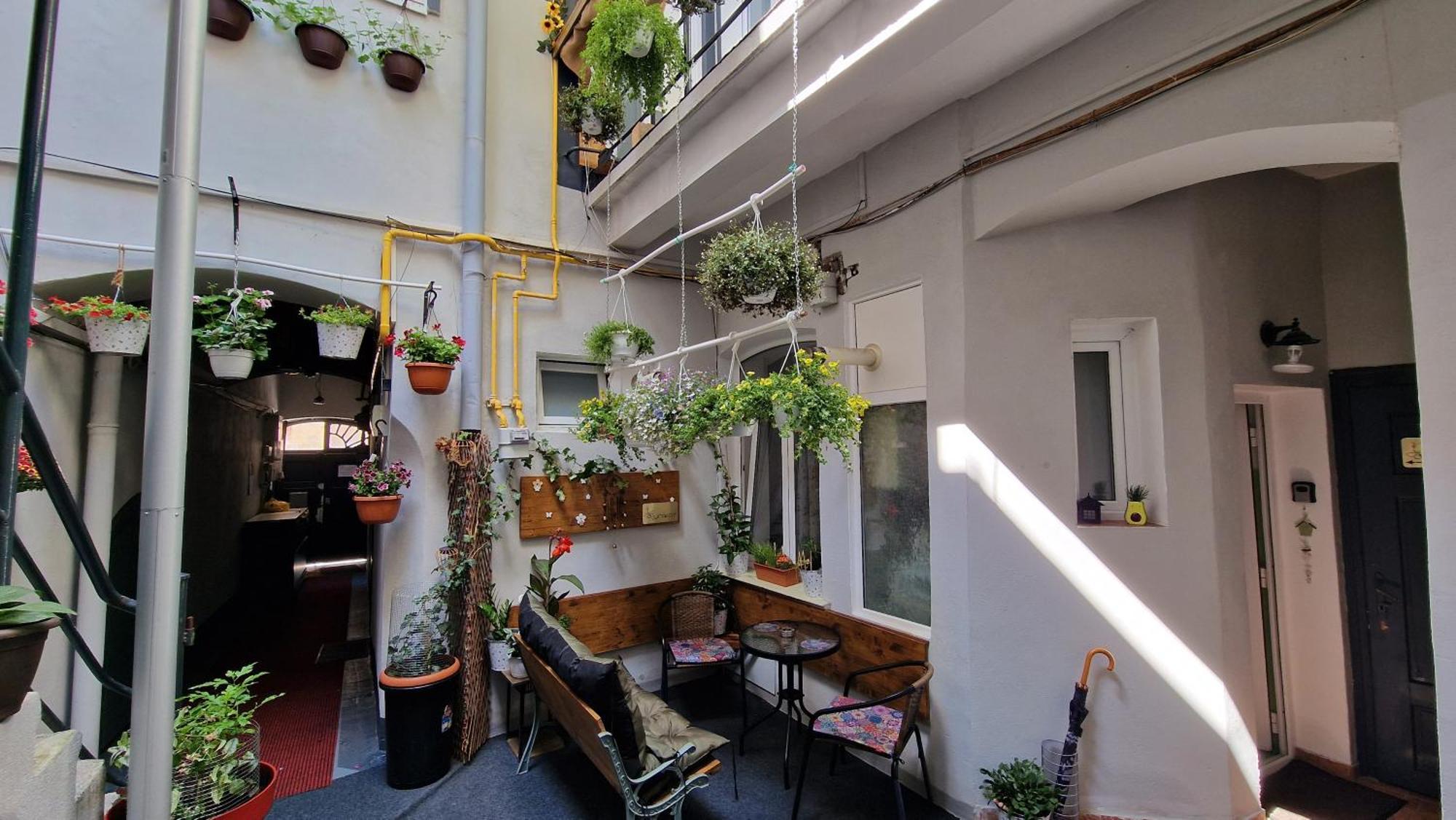Studio Unikat Braşov Exterior foto